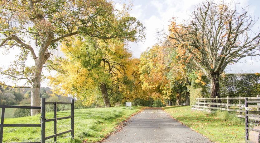 Photo of Conkers' Cottage