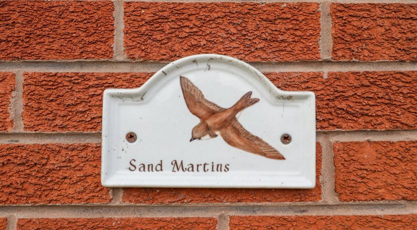 Photo of Sandmartins