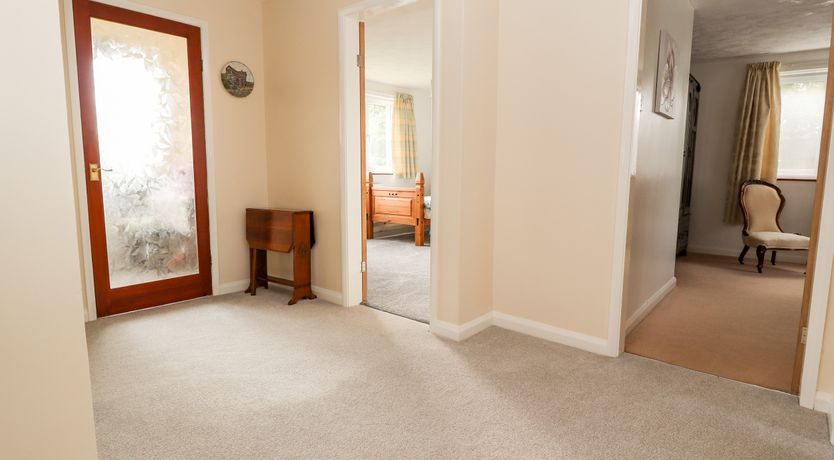 Photo of Sandmartins