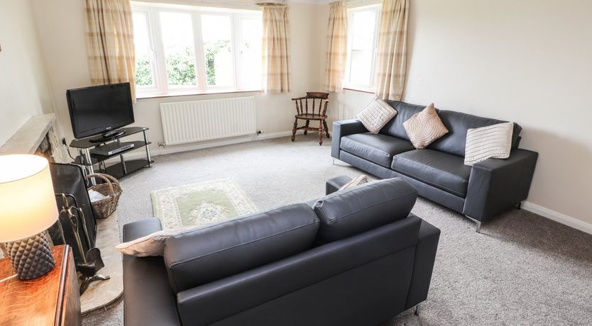 Photo of Sandmartins