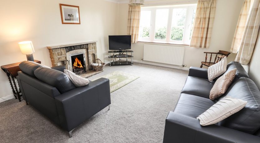 Photo of Sandmartins