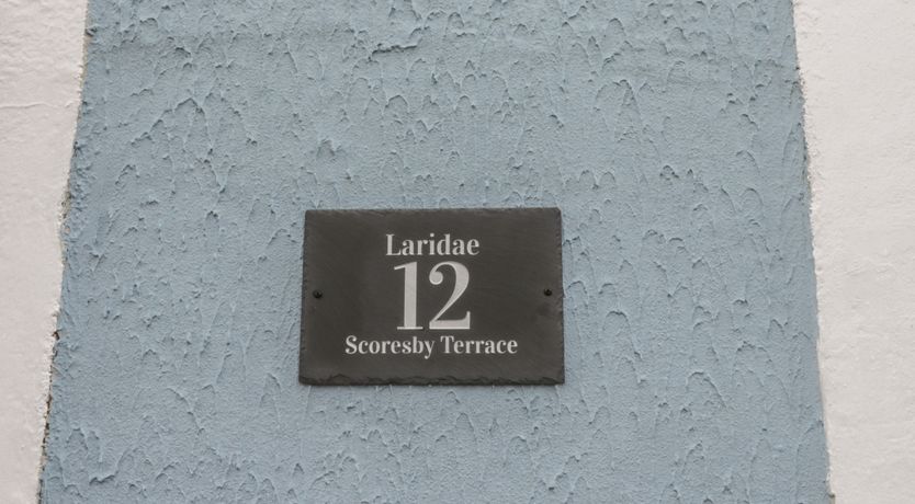 Photo of Laridae