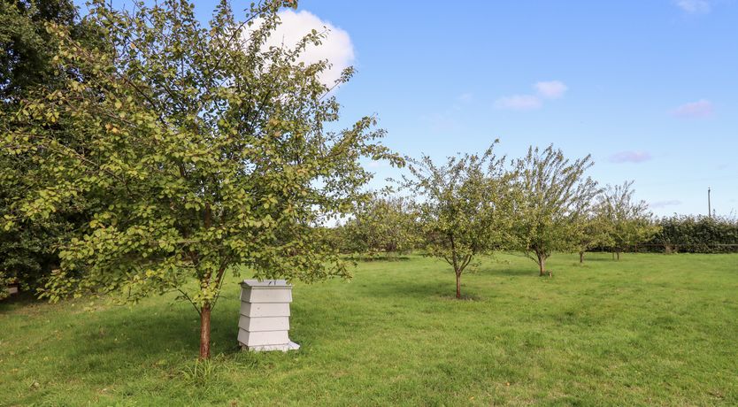 Photo of Thatchers Barn