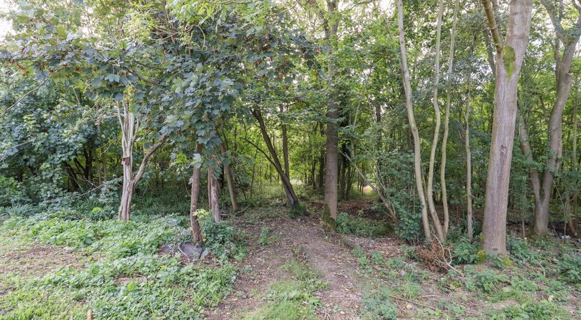 Photo of Thatchers Barn