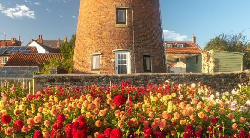 Photo of The Old Windmill