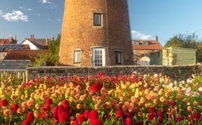 Photo of The Old Windmill