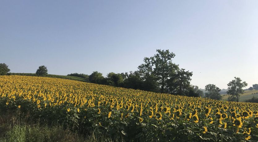 Photo of Cascina Liebe