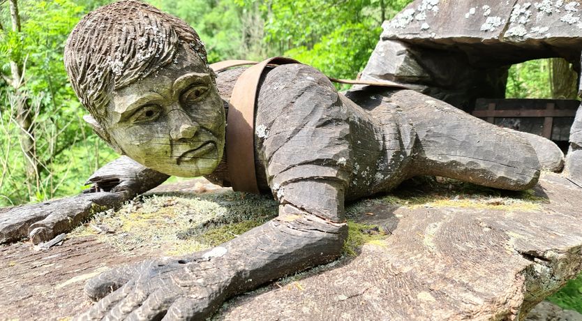 Photo of Rainforest Cottage