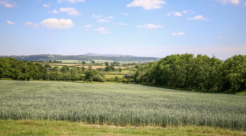 Photo of The Onibury