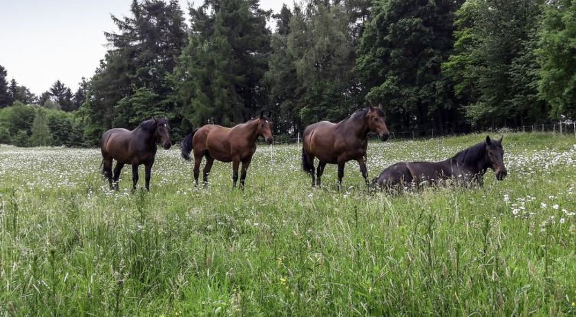 Photo of Dom na Skraju