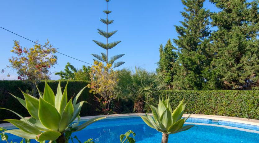 Photo of Chill Out on the Sea