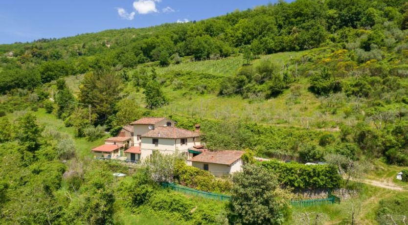 Photo of Il Castagneto