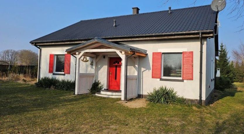 Photo of Butterfly Lux