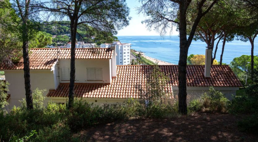 Photo of La Marina Blanca