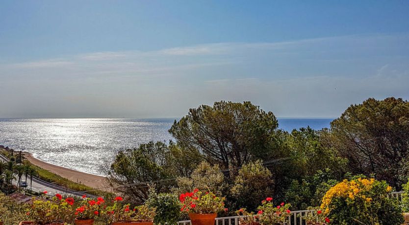 Photo of La Marina Blanca