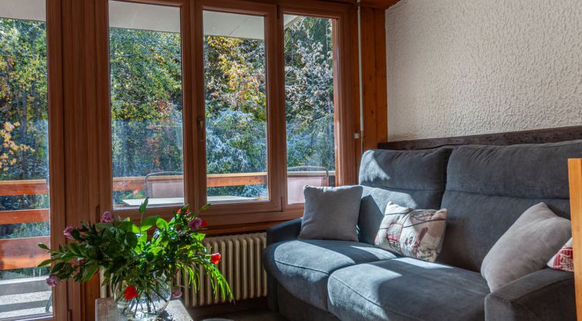 Photo of Derborence 25