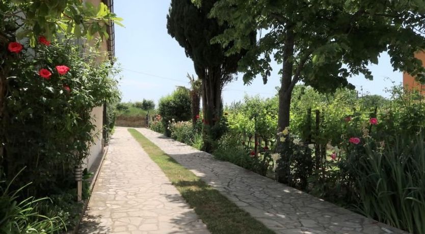 Photo of Villa Palma