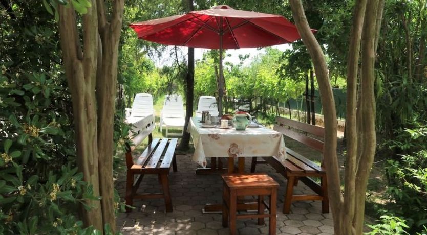 Photo of Villa Palma