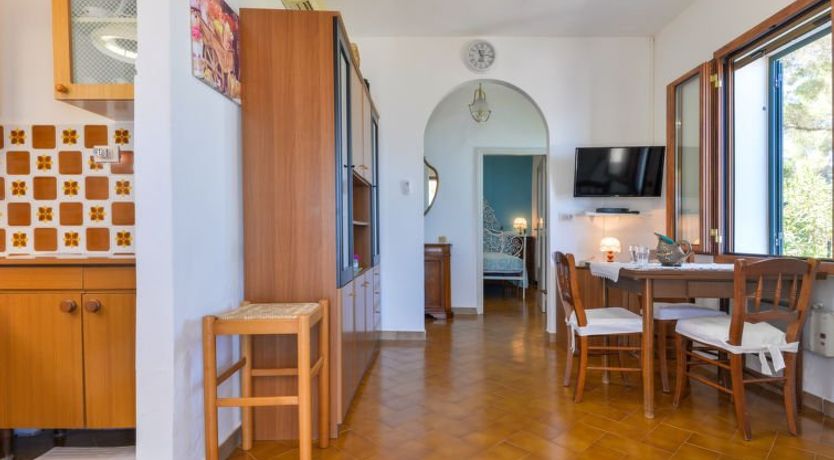 Photo of Baroccia da Mary