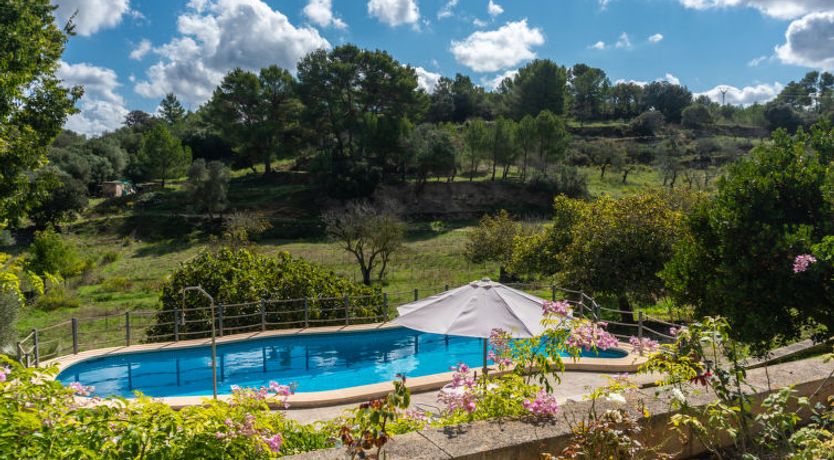 Photo of Son Femenia