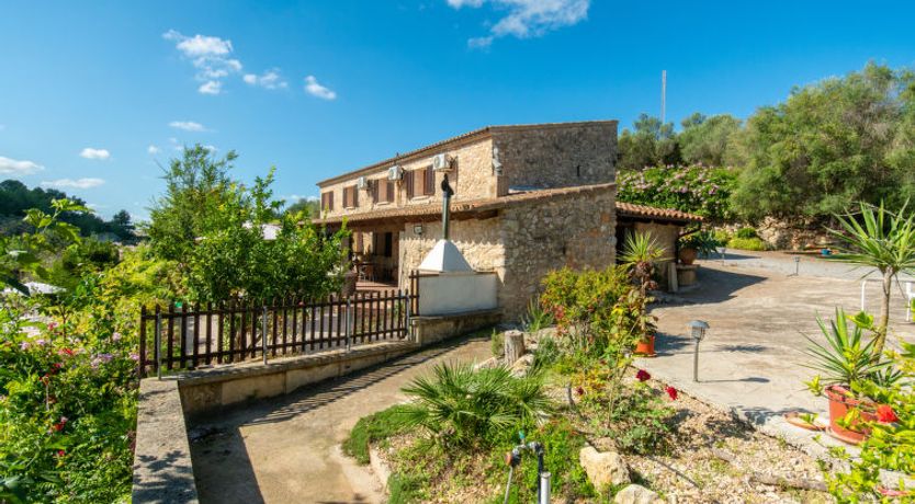 Photo of Son Femenia