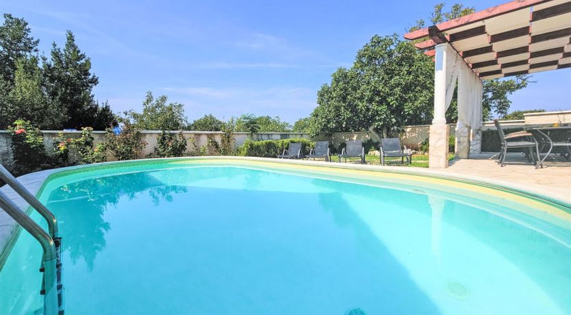 Photo of Joy on Countryside