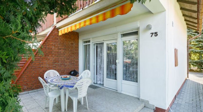 Photo of Mathias Rex