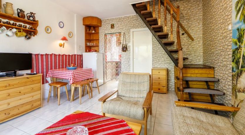 Photo of Mathias Rex