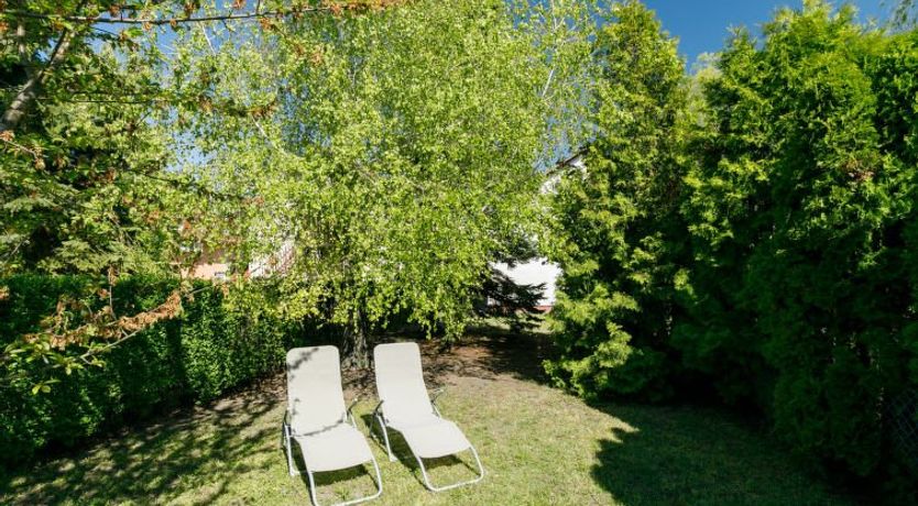 Photo of Mathias Rex