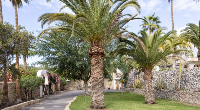 Photo of Finca Ingala