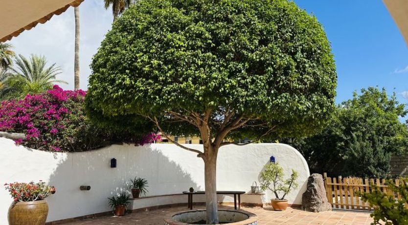 Photo of Finca Ingala