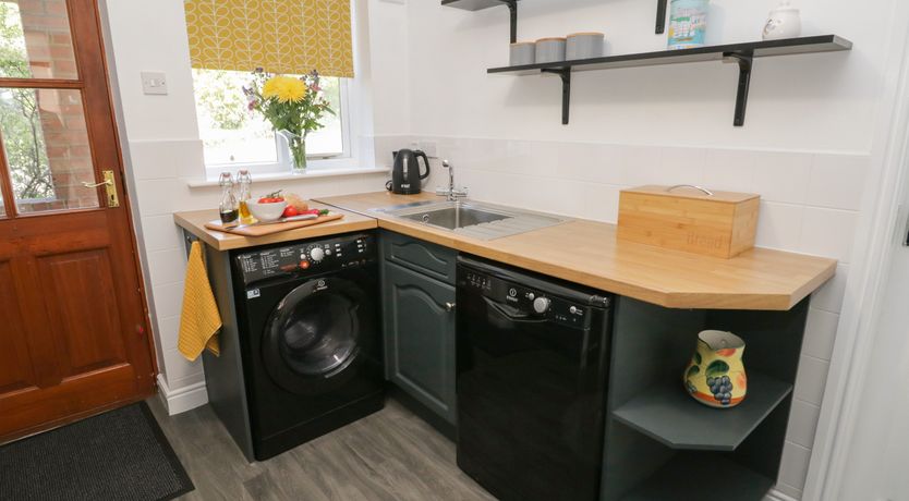 Photo of Dabbling Ducks