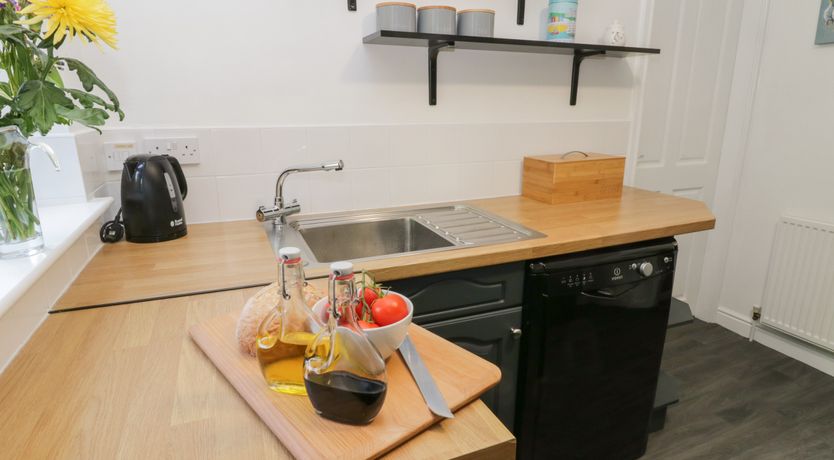 Photo of Dabbling Ducks