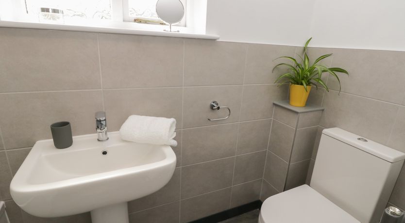 Photo of Dabbling Ducks