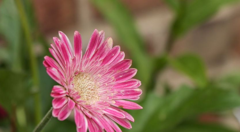 Photo of Crossing Cottage