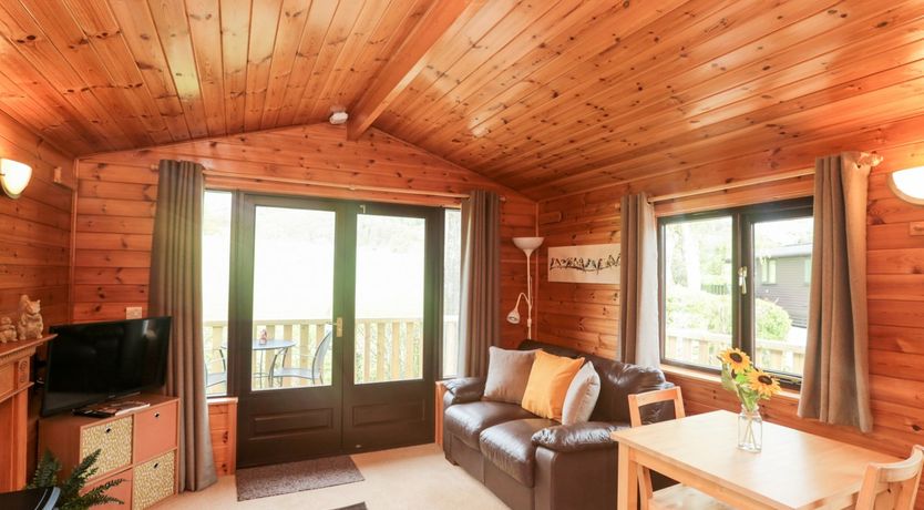 Photo of Squirrels Leap