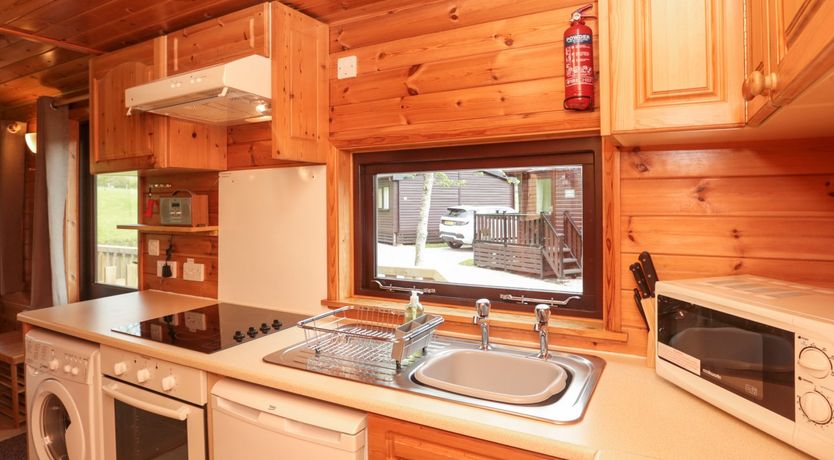 Photo of Squirrels Leap