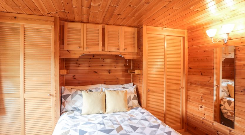 Photo of Squirrels Leap