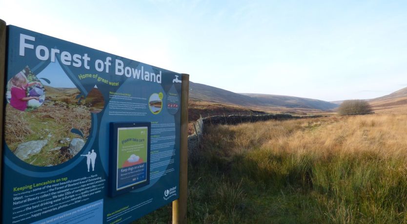 Photo of Low Orchard House