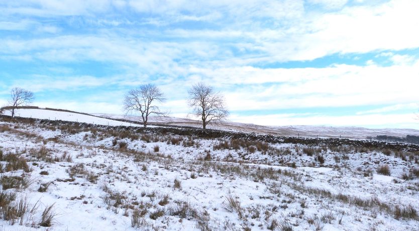 Photo of Low Orchard House