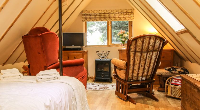 Photo of Milford Tree Tops