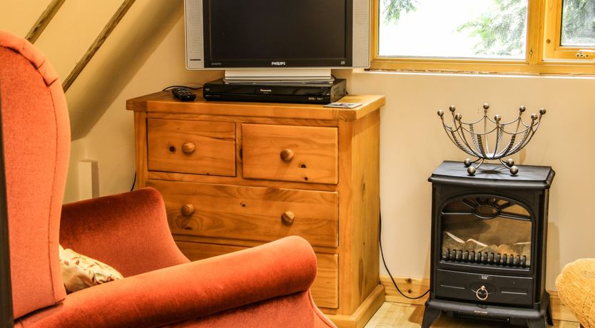 Photo of Milford Tree Tops