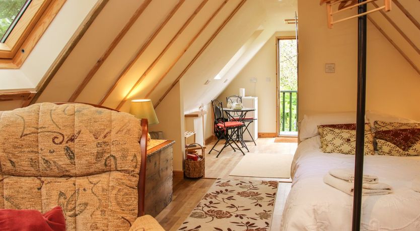 Photo of Milford Tree Tops