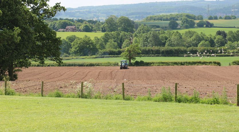 Photo of Shepherds Hut