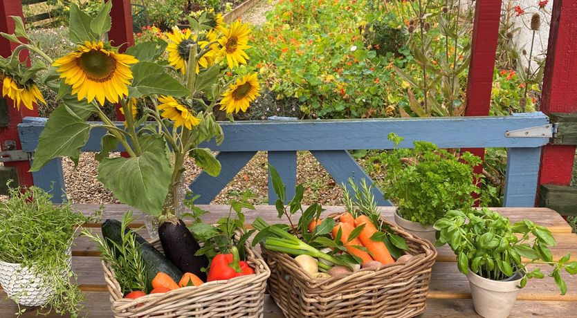 Photo of Ballyknocken Milking Parlour 