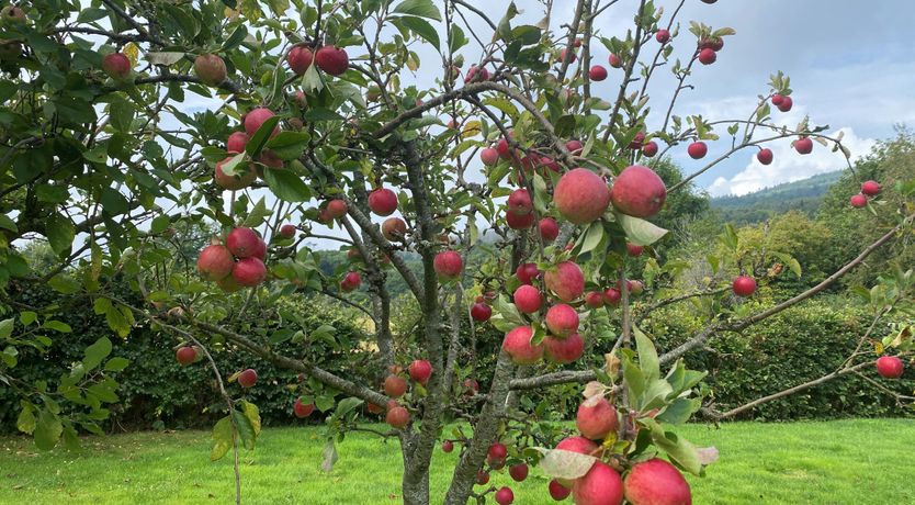 Photo of Ballyknocken Milking Parlour 