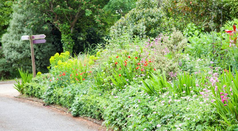 Photo of Ballyknocken Milking Parlour 
