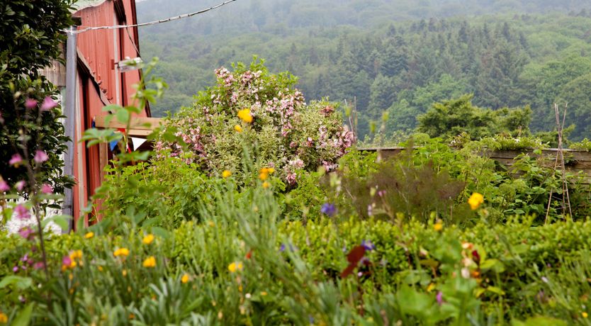Photo of Ballyknocken Milking Parlour 