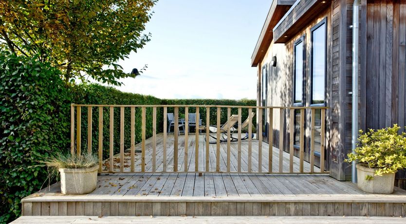 Photo of Starry Fields