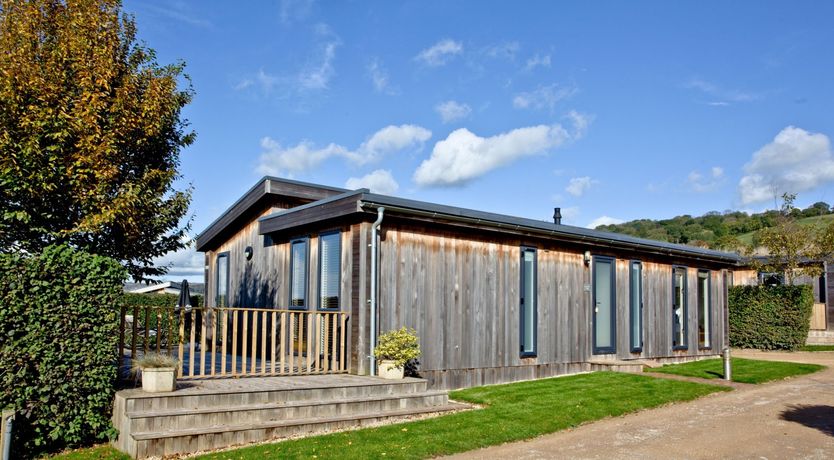 Photo of Starry Fields